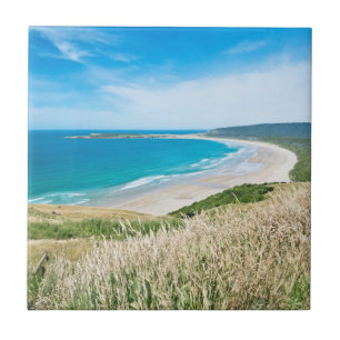 Nieuw-Zeeland, Zuidereiland, Catlins, Tautuku-baai Tegeltje