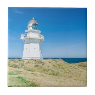 Nieuw-Zeeland, Zuidereiland, Catlins, Waipapa Tegeltje