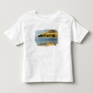 Nieuw-Zeeland, Zuidereiland, Marlborough Sounds. 2 Kinder Shirts
