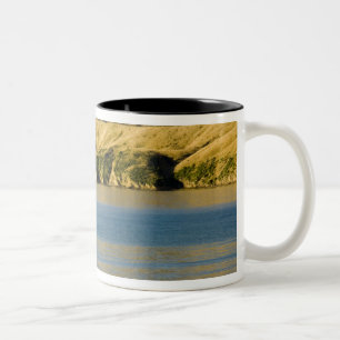 Nieuw-Zeeland, Zuidereiland, Marlborough Sounds. 2 Tweekleurige Koffiemok