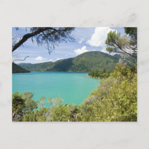 Nieuw-Zeeland, Zuidereiland, Marlborough Sounds. Briefkaart