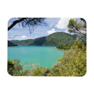 Nieuw-Zeeland, Zuidereiland, Marlborough Sounds. Magneet