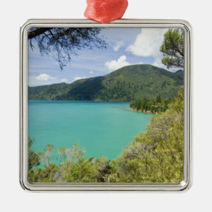 Nieuw-Zeeland, Zuidereiland, Marlborough Sounds. Metalen Ornament