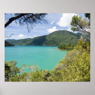 Nieuw-Zeeland, Zuidereiland, Marlborough Sounds. Poster