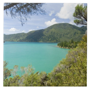 Nieuw-Zeeland, Zuidereiland, Marlborough Sounds. Tegeltje