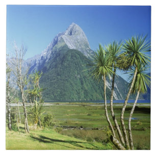 Nieuw-Zeeland, Zuidereiland, Mitre Peak, Tegeltje