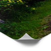 Nieuw-Zeelands landschap Poster (Hoek)