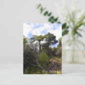 Nieuw-Zeelands oerwoud, Fern Trees, inheemse bosse Briefkaart (Staand voorkant)