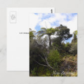 Nieuw-Zeelands oerwoud, Fern Trees, inheemse bosse Briefkaart (Voorkant / Achterkant)