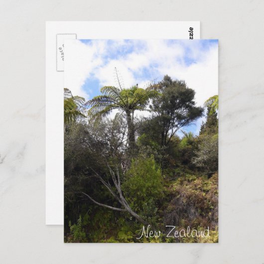 Nieuw-Zeelands oerwoud, Fern Trees, inheemse bosse Briefkaart (Voorkant / Achterkant)