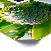 Nieuw-Zeelands Poster voor aangepaste fotocollage (Hoek)