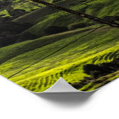 Nieuw-Zeelands schilderachtig noordland, prachtige Poster (Hoek)