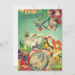 Nieuw-Zeelandse collage