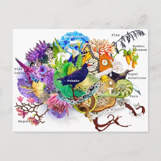 Nieuw-Zeelandse collage Briefkaart (Voorkant)