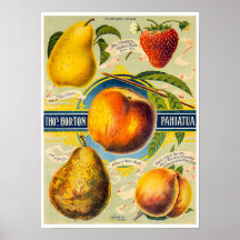Nieuw-Zeelandse fruitprint