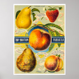 Nieuw-Zeelandse fruitprint Poster
