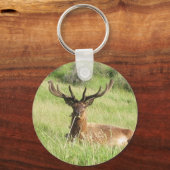 Nieuw-Zeelandse herten Sleutelhanger (Voorkant)