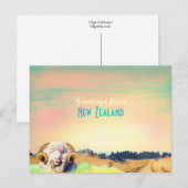 Nieuw-Zeelandse kaart (Voorkant / Achterkant)