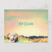 Nieuw-Zeelandse  kaart (Voorkant)