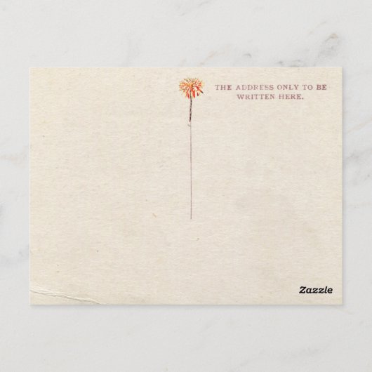 Nieuw-Zeelandse  kaart (Achterkant)