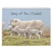 Nieuw-Zeelandse kalender 2015 (Hoes)