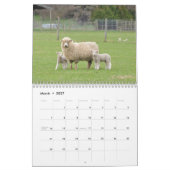 Nieuw-Zeelandse kalender 2015 (Mar 2027)