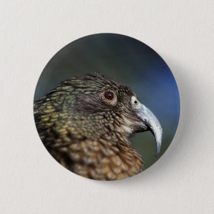 Nieuw-Zeelandse kea, alpenbergpapegaai Ronde Button 5,7 Cm