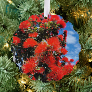 Nieuw-Zeelandse kerstboom Ornament Kaart