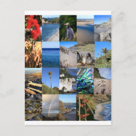 Nieuw-Zeelandse kust schilderachtig Kiwiana Briefkaart