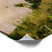 Nieuw-Zeelandse kustlijn Poster (Hoek)