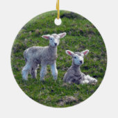 Nieuw-Zeelandse lammeren Keramisch Ornament (Achterkant)