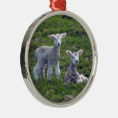 Nieuw-Zeelandse lammeren Metalen Ornament (Rechts)