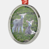 Nieuw-Zeelandse lammeren Metalen Ornament (Links)