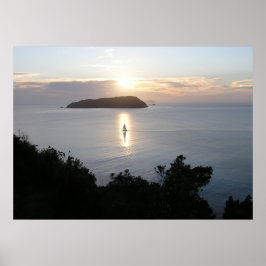 Nieuw-Zeelandse Posters