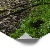 Nieuw-Zeelandse Posters (Hoek)