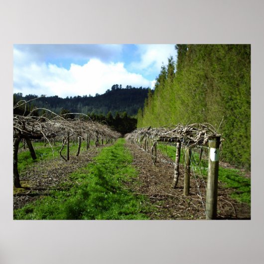 Nieuw-Zeelandse Posters (Voorkant)