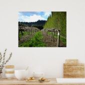 Nieuw-Zeelandse Posters (Keuken)