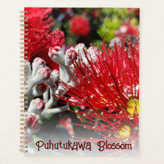 Nieuw-Zeelandse rode kerstboom Blossom Planner