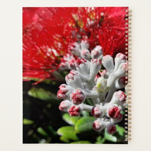 Nieuw-Zeelandse rode kerstboom Blossom Planner (Achterkant)