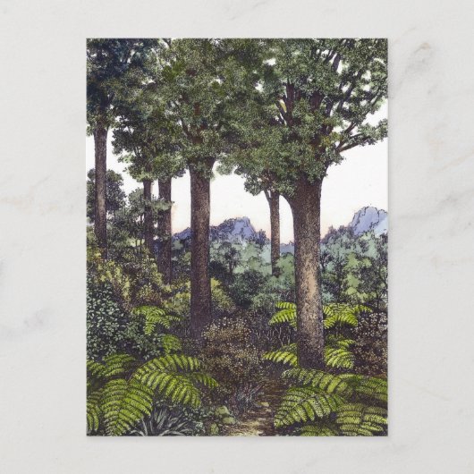 Nieuw-Zeelandse Struik Briefkaart (Voorkant)