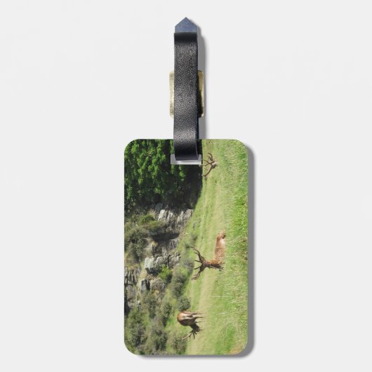 Nieuw-Zeelandse tags Bagagelabel (Achterkant verticaal)