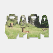 Nieuw-Zeelandse tags Bedankdoosjes (Uitgevouwen)