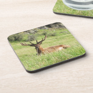 Nieuw-Zeelandse tags Bier Onderzetter