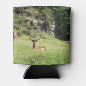 Nieuw-Zeelandse tags Blikjeskoeler (Voorkant)