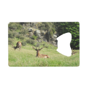 Nieuw-Zeelandse tags Creditkaart Flessenopener