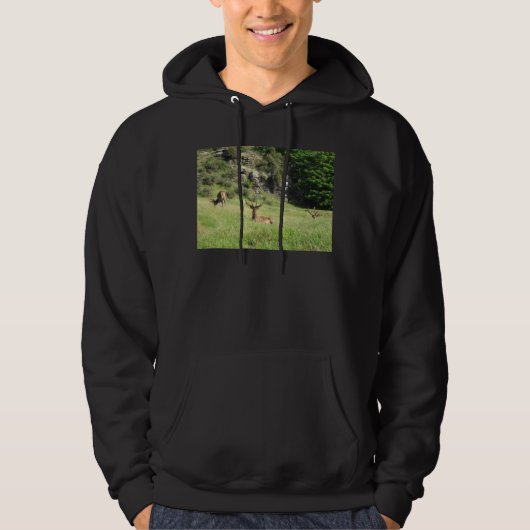 Nieuw-Zeelandse tags Hoodie (Voorkant)