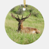 Nieuw-Zeelandse tags Keramisch Ornament (Voorkant)