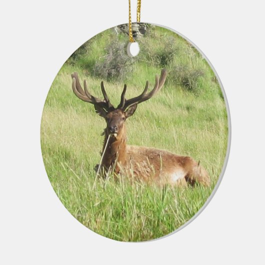 Nieuw-Zeelandse tags Keramisch Ornament (Links)