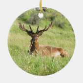 Nieuw-Zeelandse tags Keramisch Ornament (Achterkant)