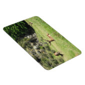 Nieuw-Zeelandse tags Magneet (Rechterzijde)